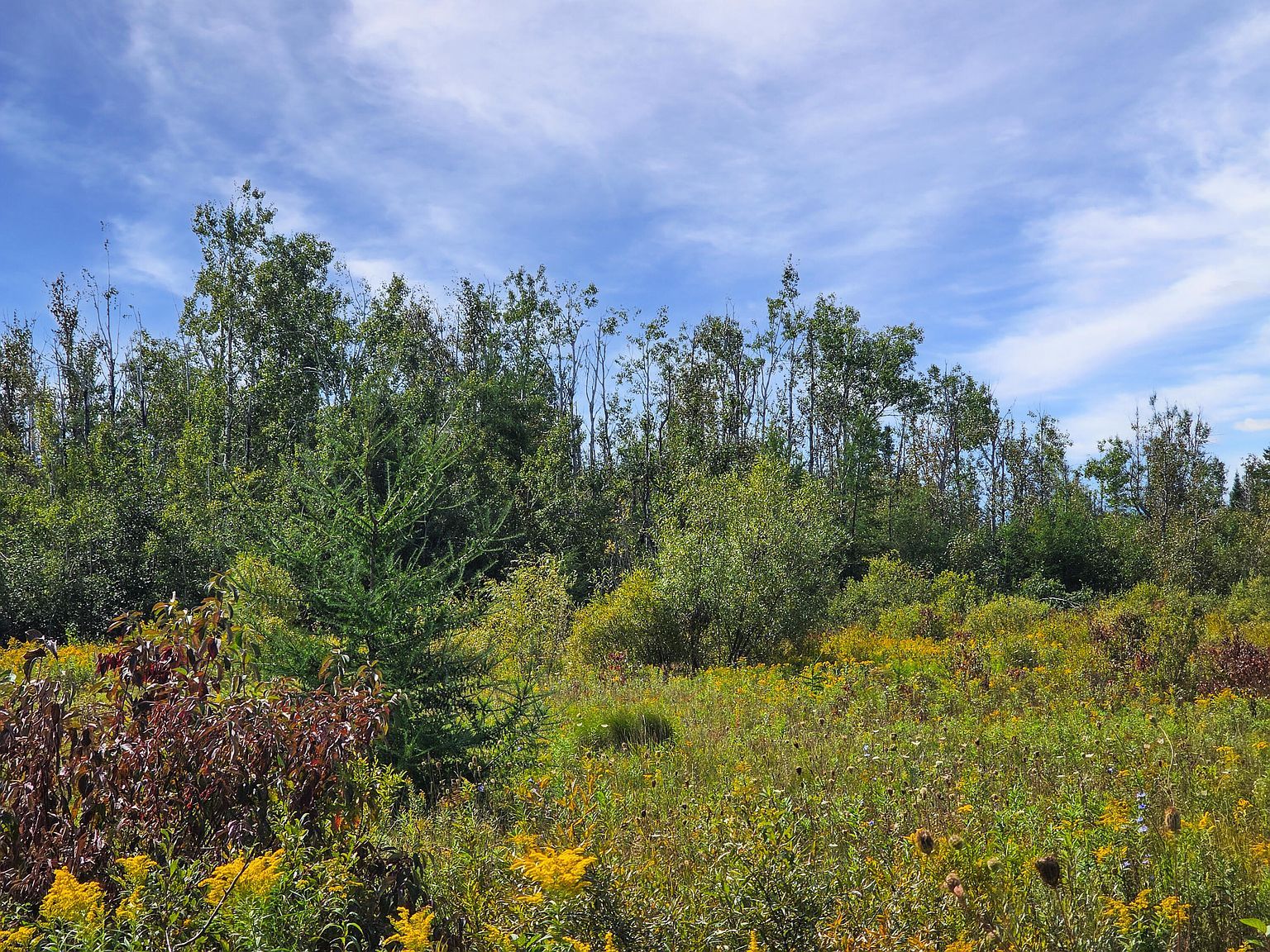 V/l 16 Ac Page Rd Cheboygan, MI 49721 - Thumbnail 5