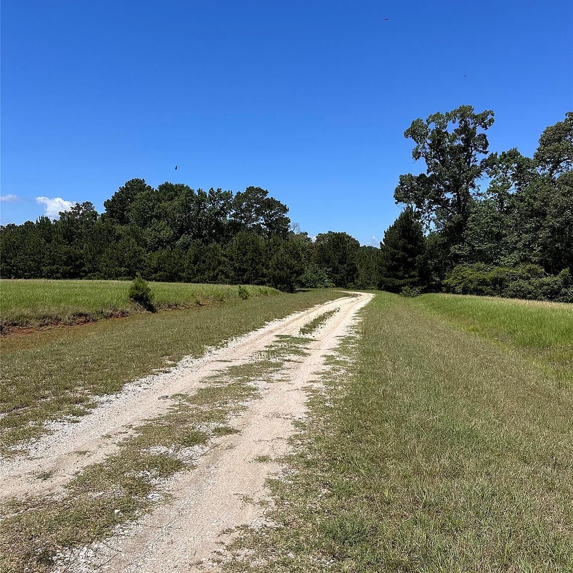 00 Laura St Trinity, TX 75862 - Thumbnail 5