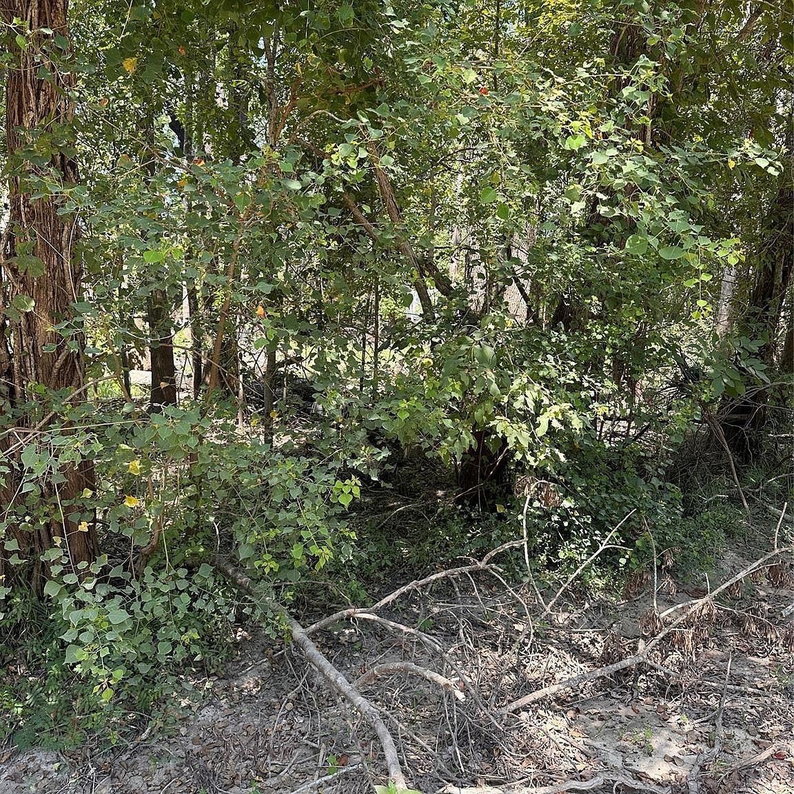 Private Road 6444 Dayton, TX 77535 - Thumbnail 5