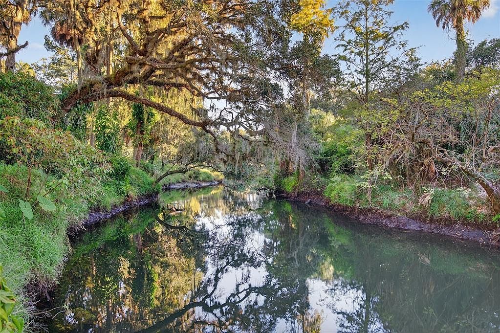 6350 Lost Trl Holiday, FL 34690 - Thumbnail 5