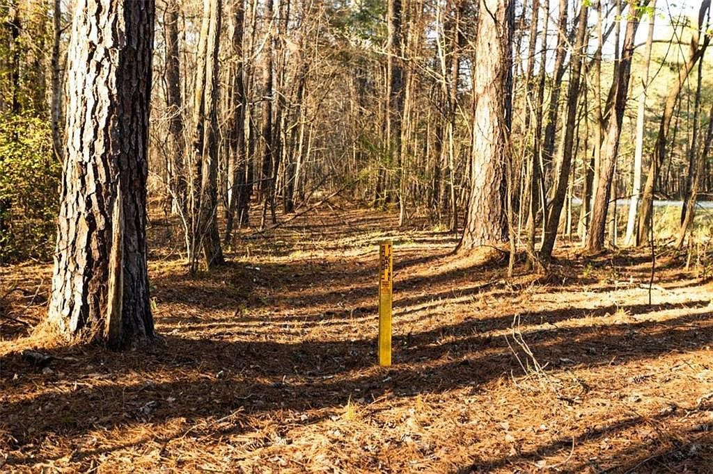 0 Social Circle Pkwy Social Circle, GA 30025 - Thumbnail 5