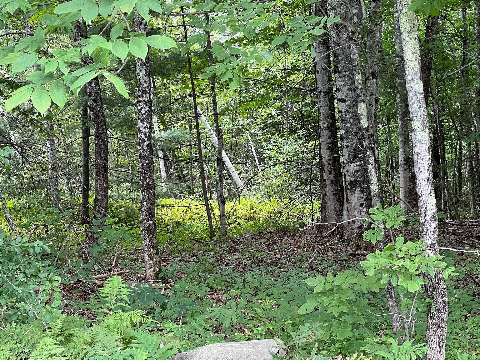 Map 7 Bailey Hill Rd LOT 10-2 Cambridge, ME 04923 - Thumbnail 5