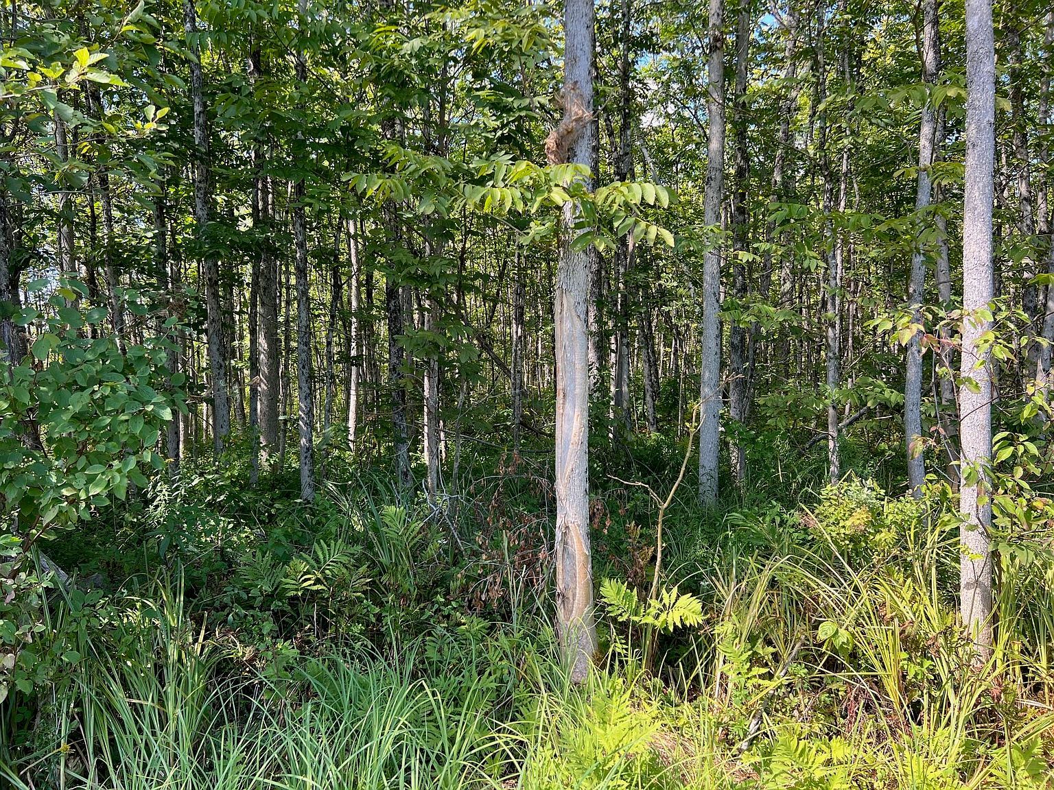 Map 1 Dexter Rd LOT 16 Garland, ME 04939 - Thumbnail 5