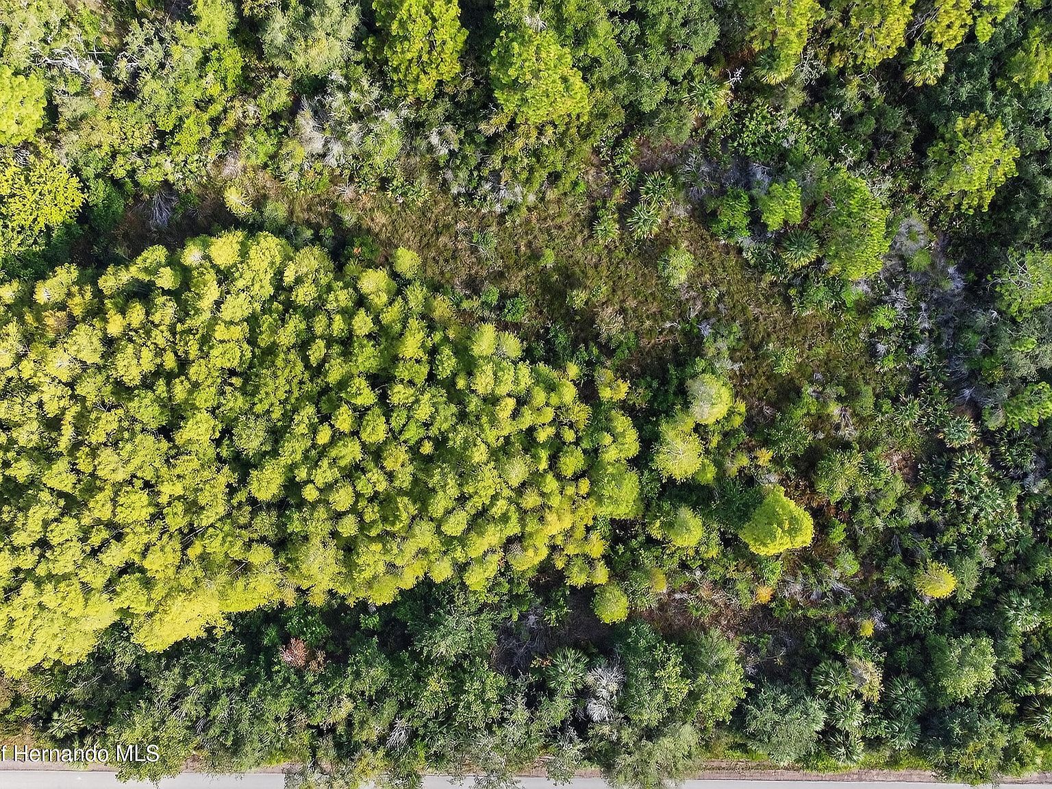 17010 Ridgeline Trl Hudson, FL 34667 - Thumbnail 5