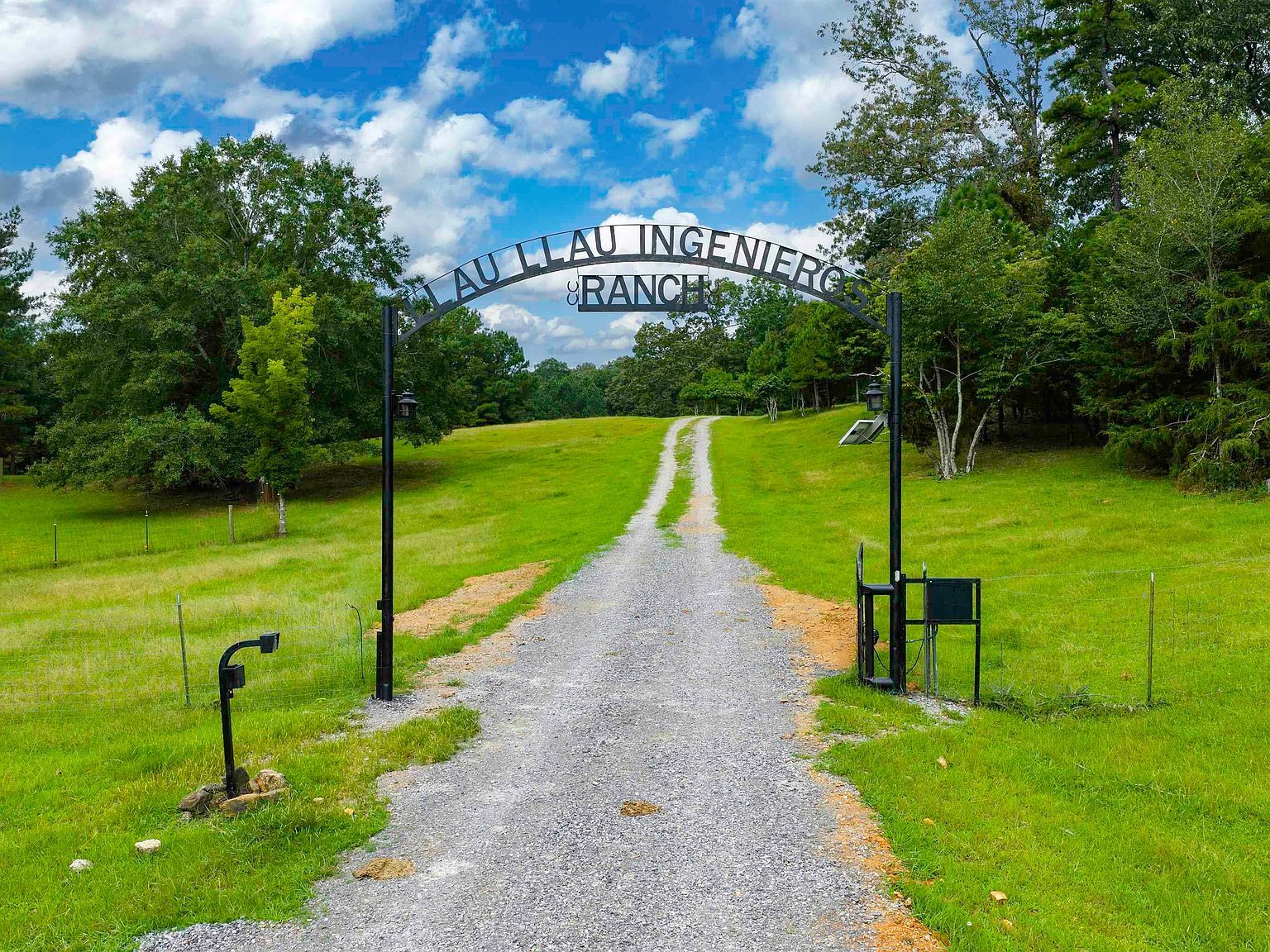 1187 Crawfords Cove Rd Springville, AL 35146 - Thumbnail 5