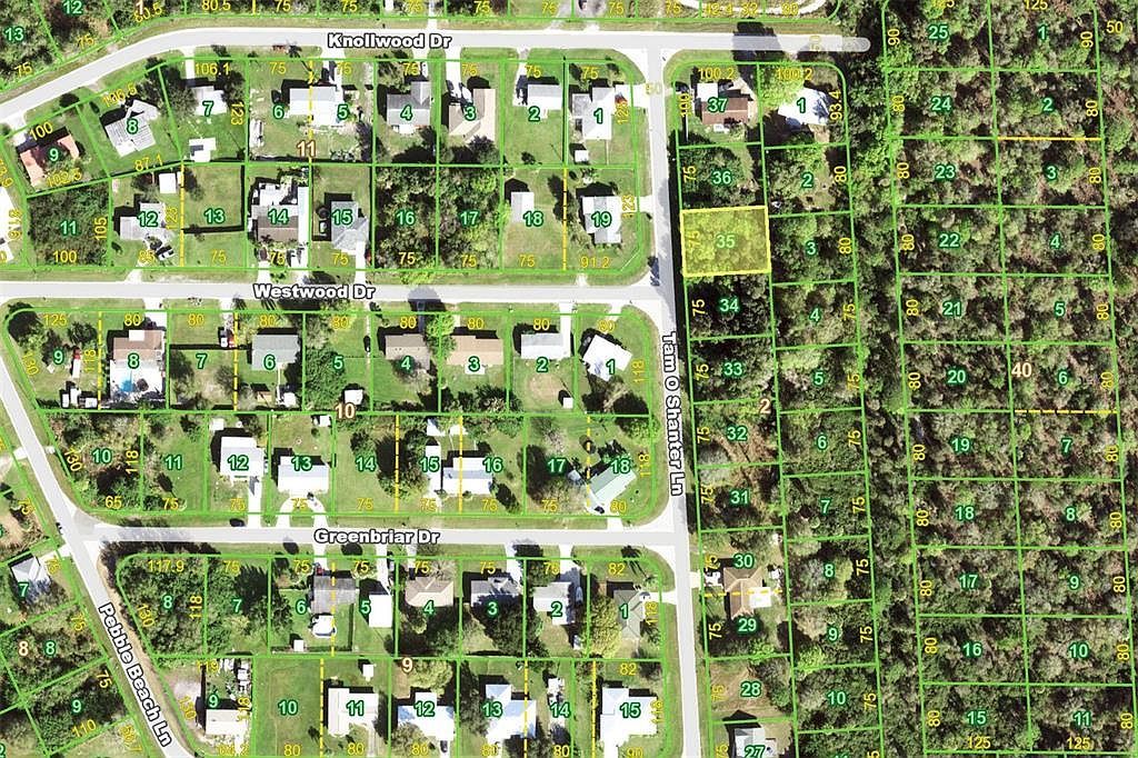 222 Tam O Shanter Ln LOT 35 Punta Gorda, FL 33982 | Land/Lot