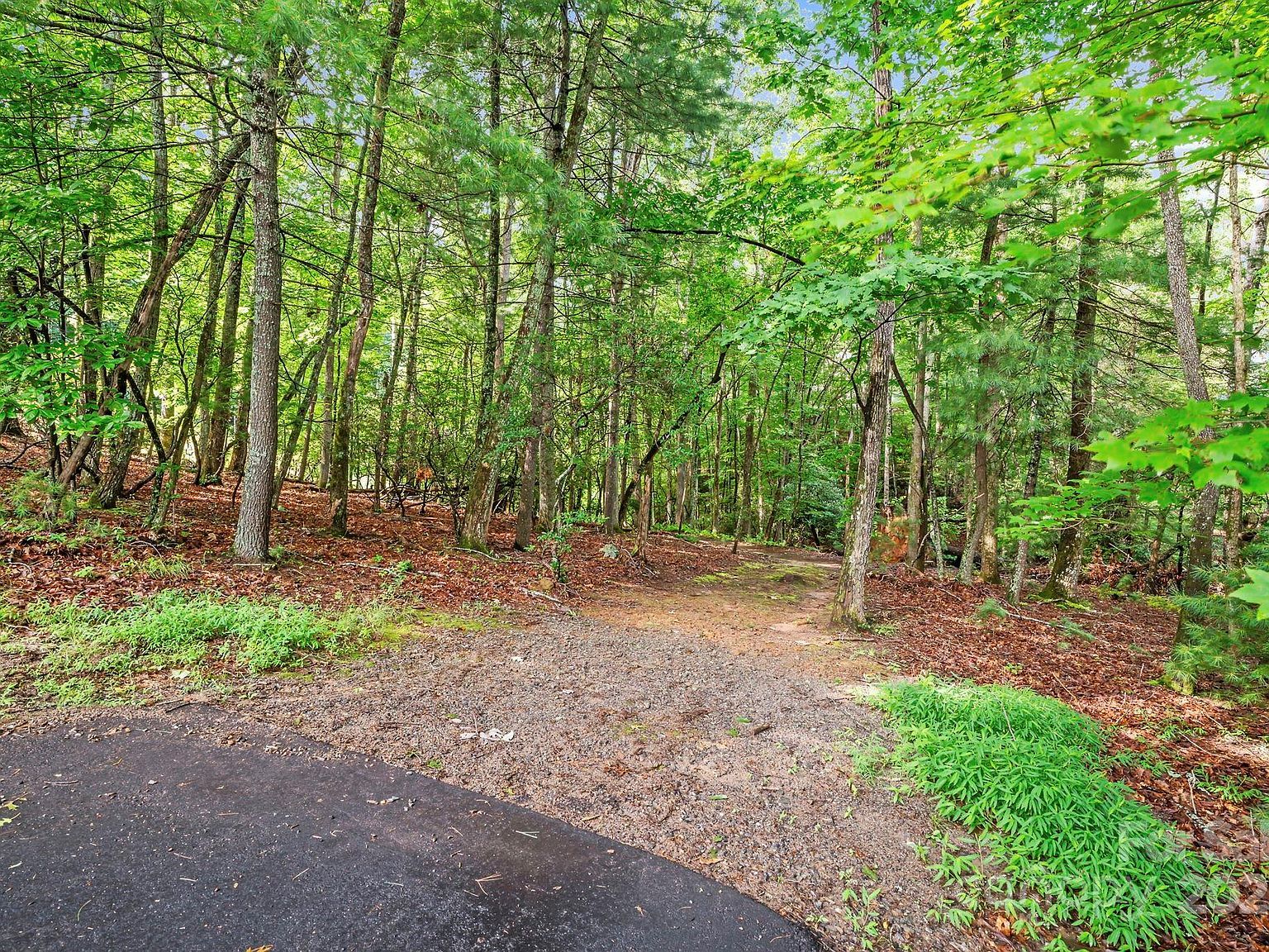 52 Dividing Ridge Trl Arden, NC 28704 - Thumbnail 5