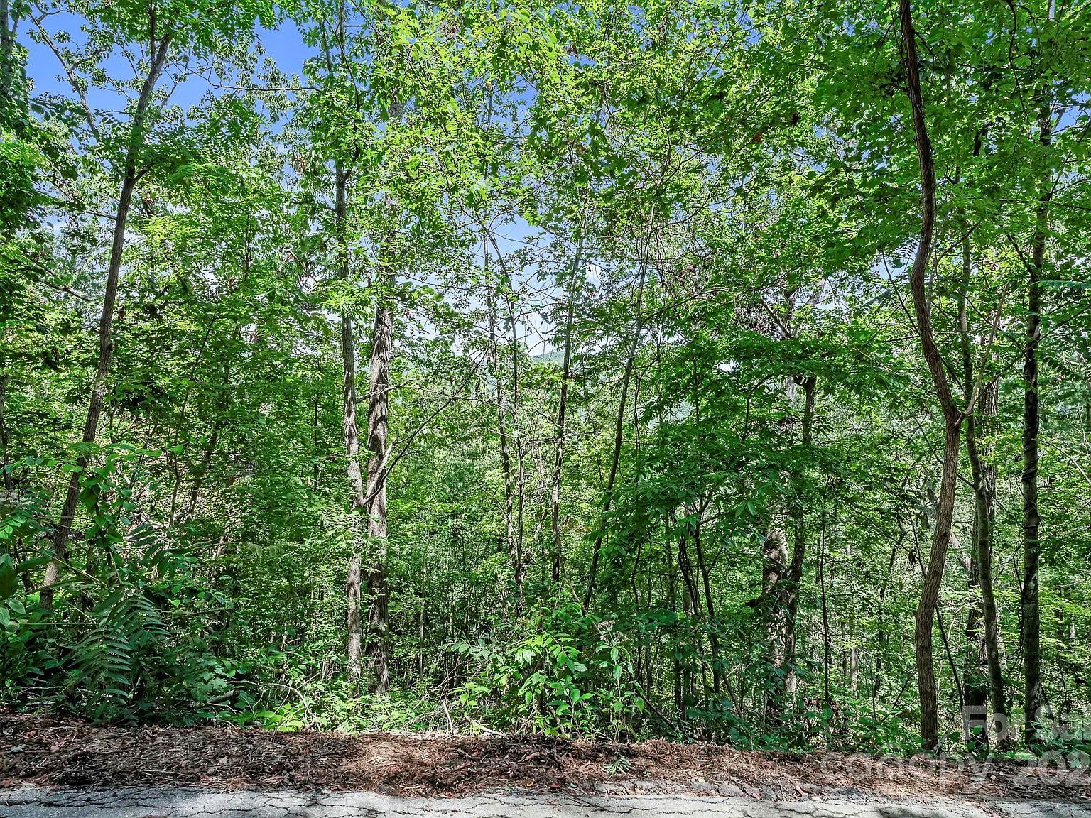 376 Vance Gap Rd Asheville, NC 28805 - Thumbnail 5