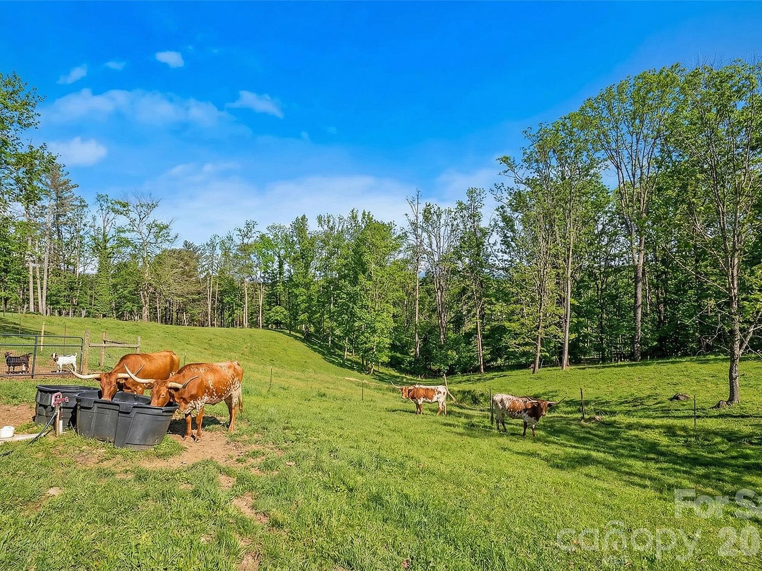 735 Macedonia Rd Asheville, NC 28804 - Thumbnail 5