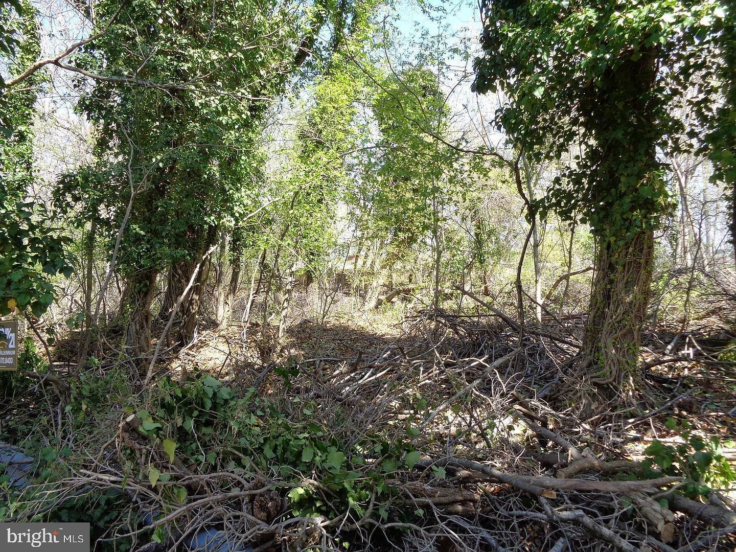 0 Piscataway Rd Clinton, MD 20735 - Thumbnail 5