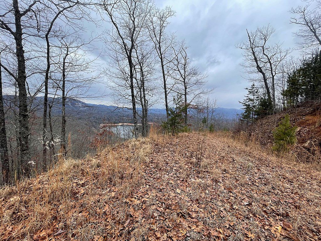 100 Ridge View Dr #11 Bryson City, NC 28713 - Thumbnail 5