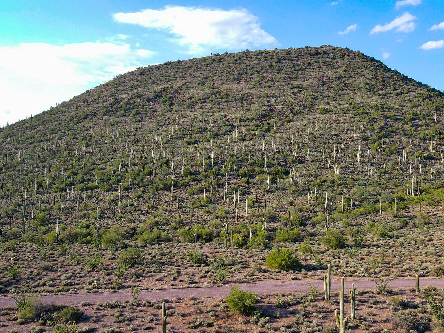 7700 E Highland Rd Cave Creek, AZ 85331 - Thumbnail 5