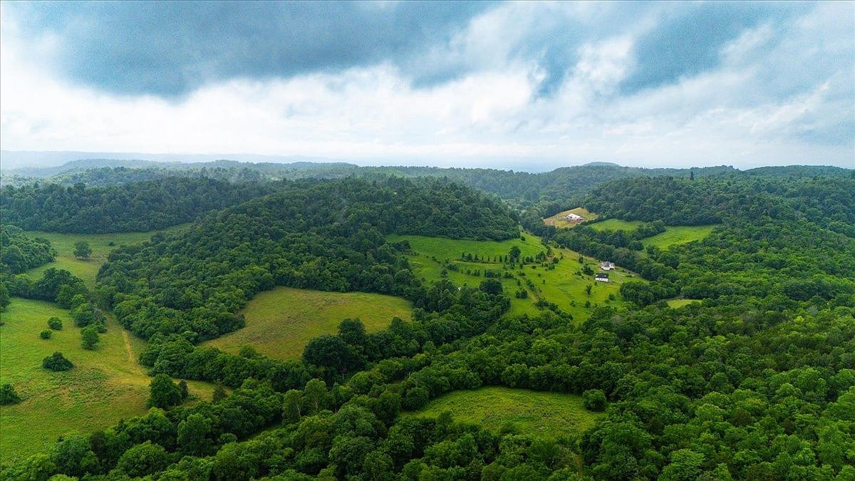 0 Opossum Paw Rd LOT 4 Beechgrove, TN 37018 - Thumbnail 5