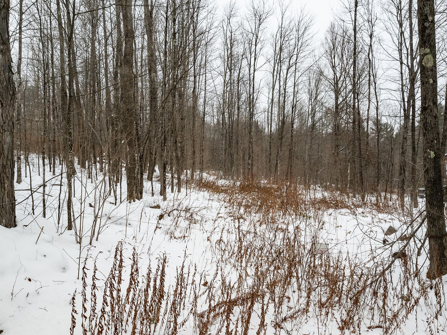 31 Gilman Rd Monmouth, ME 04259 - Thumbnail 5