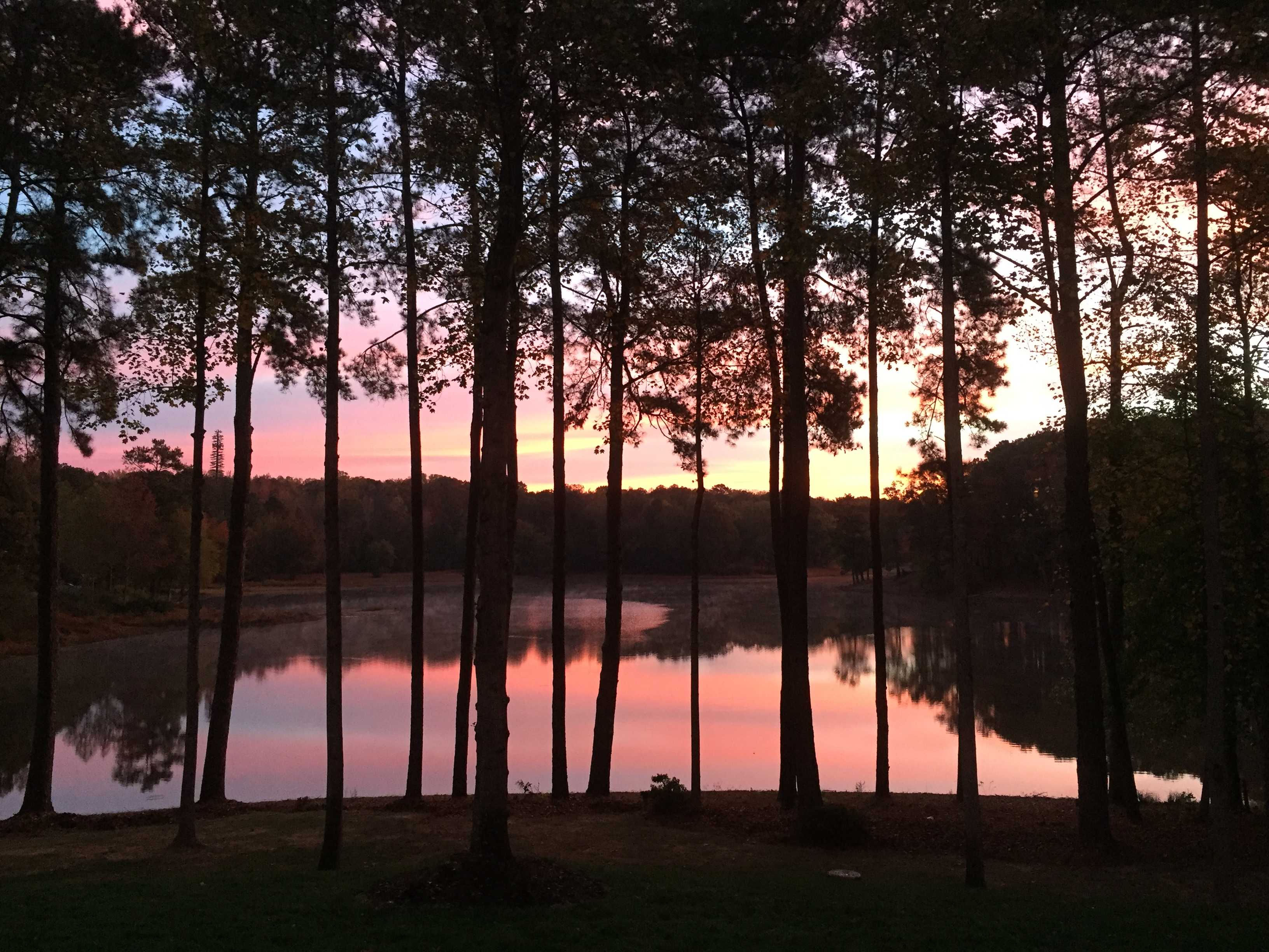 3585 Mill Creek Trail, Smyrna, Georgia 30082, USA, GA - Thumbnail 5