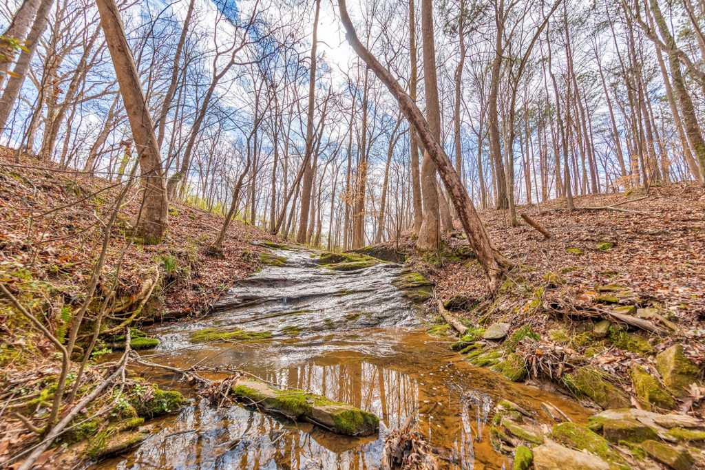 1498 Pinyan Lane, Canton, Georgia 30115, USA, GA - Thumbnail 5