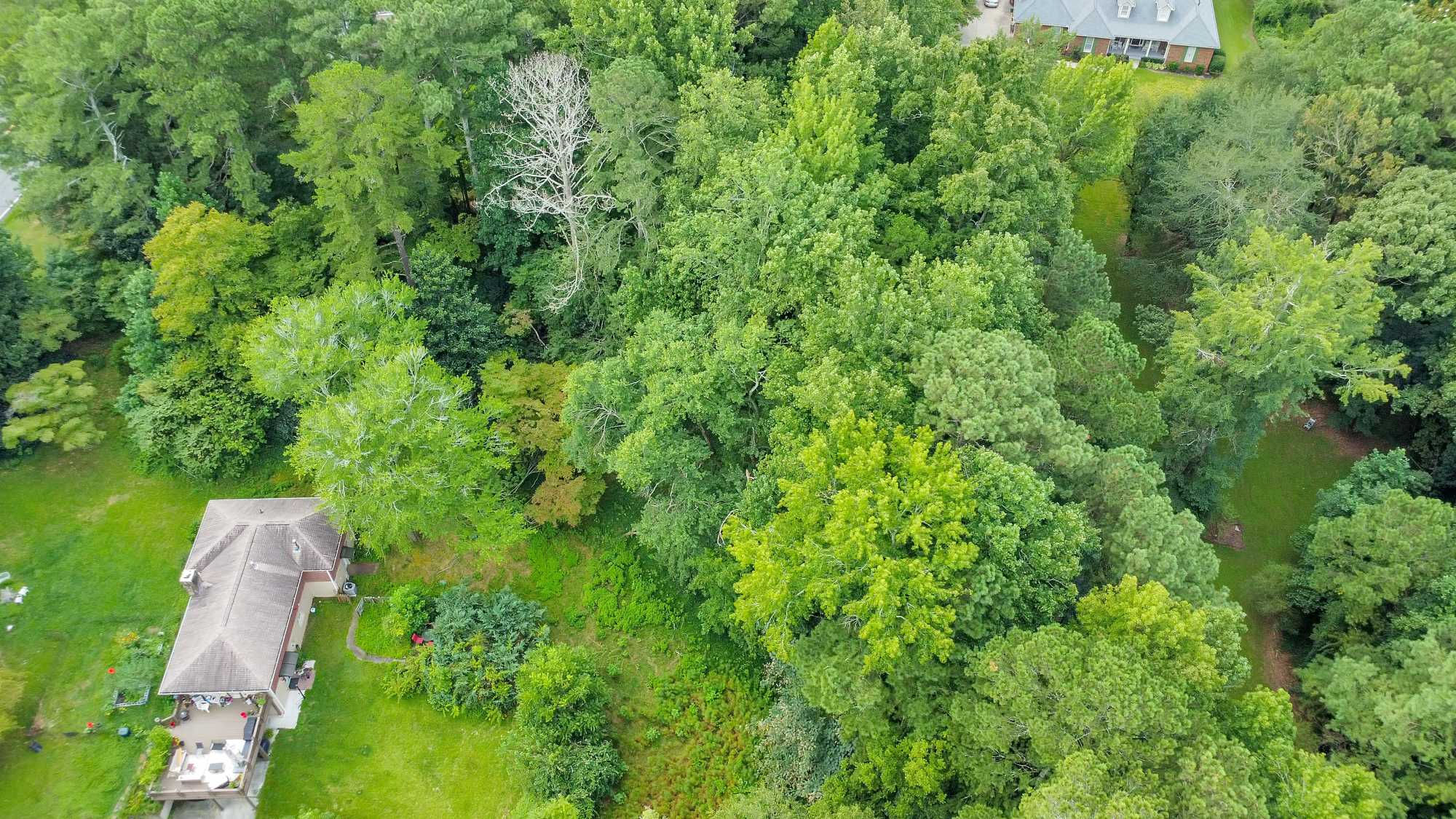 Holly Springs Road, Marietta, Georgia 30062, USA, GA - Thumbnail 5