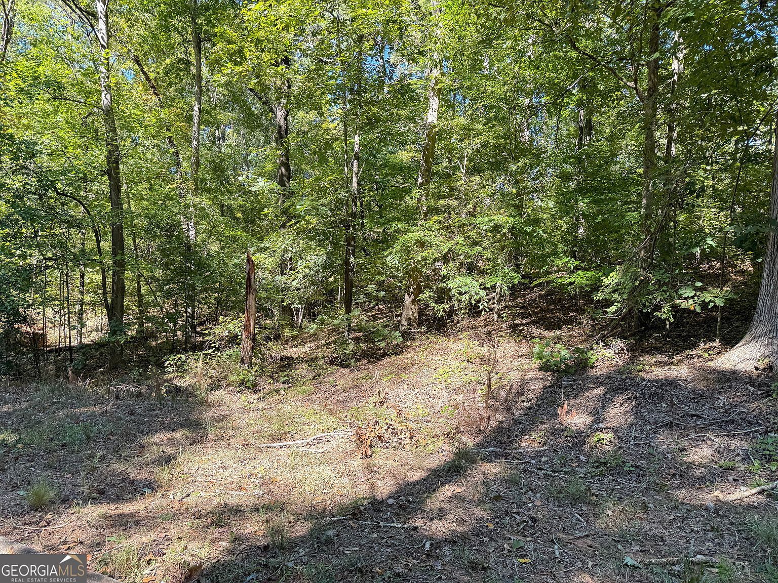 16 Approved Lots Ready To Blvd Covington, GA 30016 - Thumbnail 5