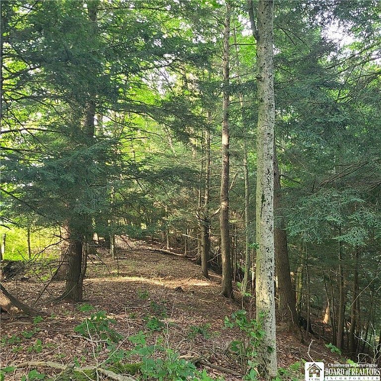 LOT 1B Bowen Rd Randolph, NY 14772 - Thumbnail 5