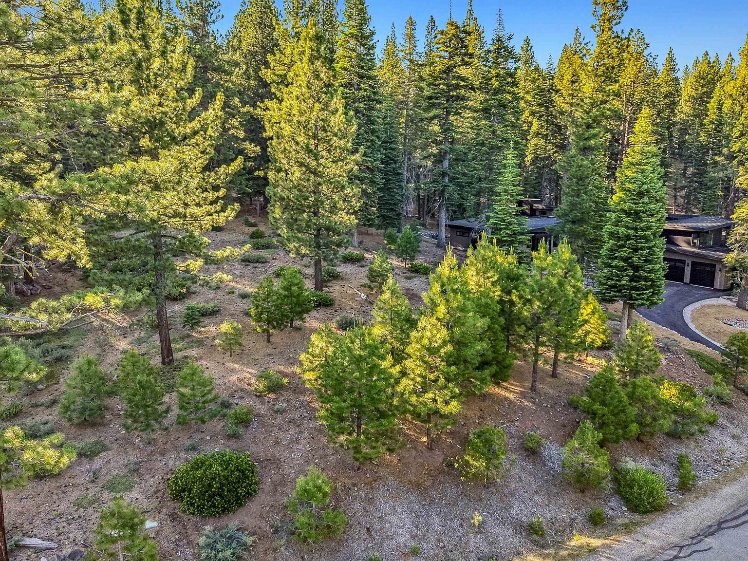 11918 Saddleback Dr Truckee, CA 96161 - Thumbnail 5