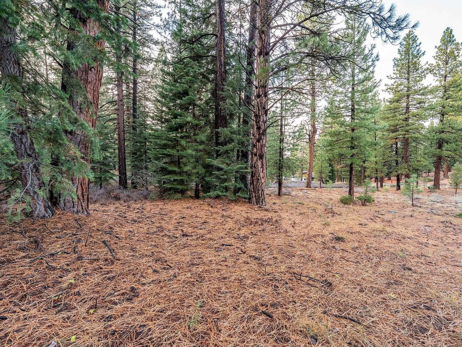 15411 Kent Dr Truckee, CA 96161 - Thumbnail 5