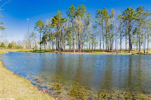 0 West Blvd, Silverhill, AL, USA - Thumbnail 5