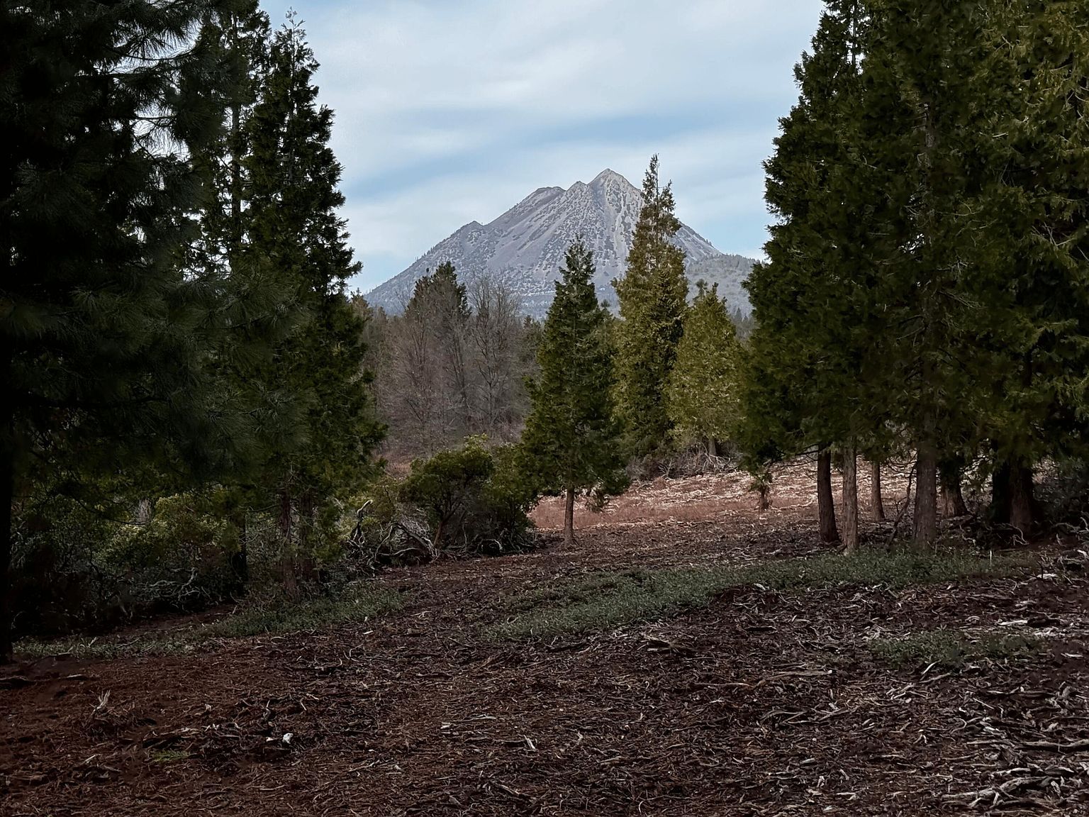 S Mount Shasta Blvd Mount Shasta, CA 96067 - Thumbnail 5