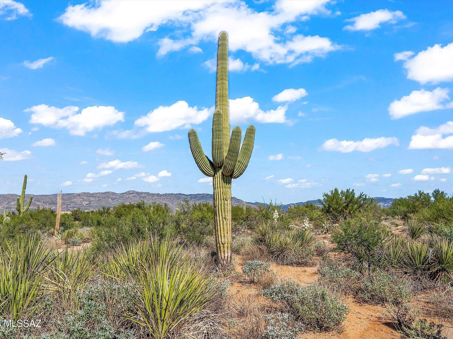 8623 S Tumbling M Ranch Pl #L-112 Vail, AZ 85641 - Thumbnail 5