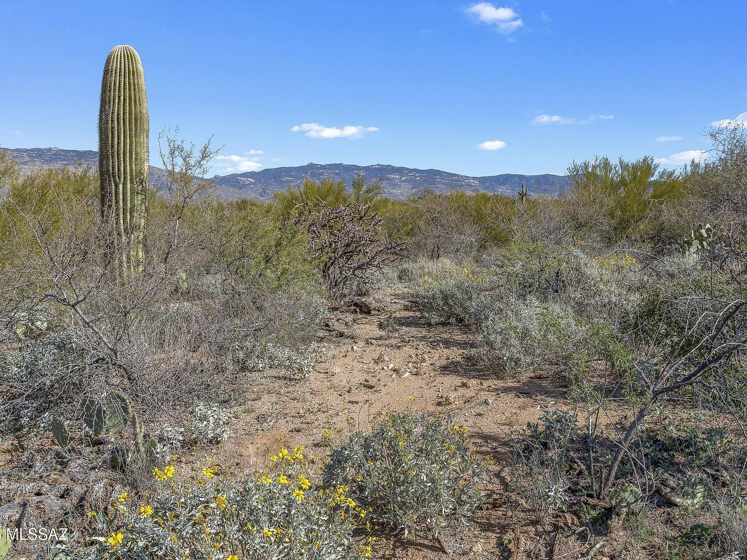 8293 S Tumbling Y Ranch Pl #142 Vail, AZ 85641 - Thumbnail 5