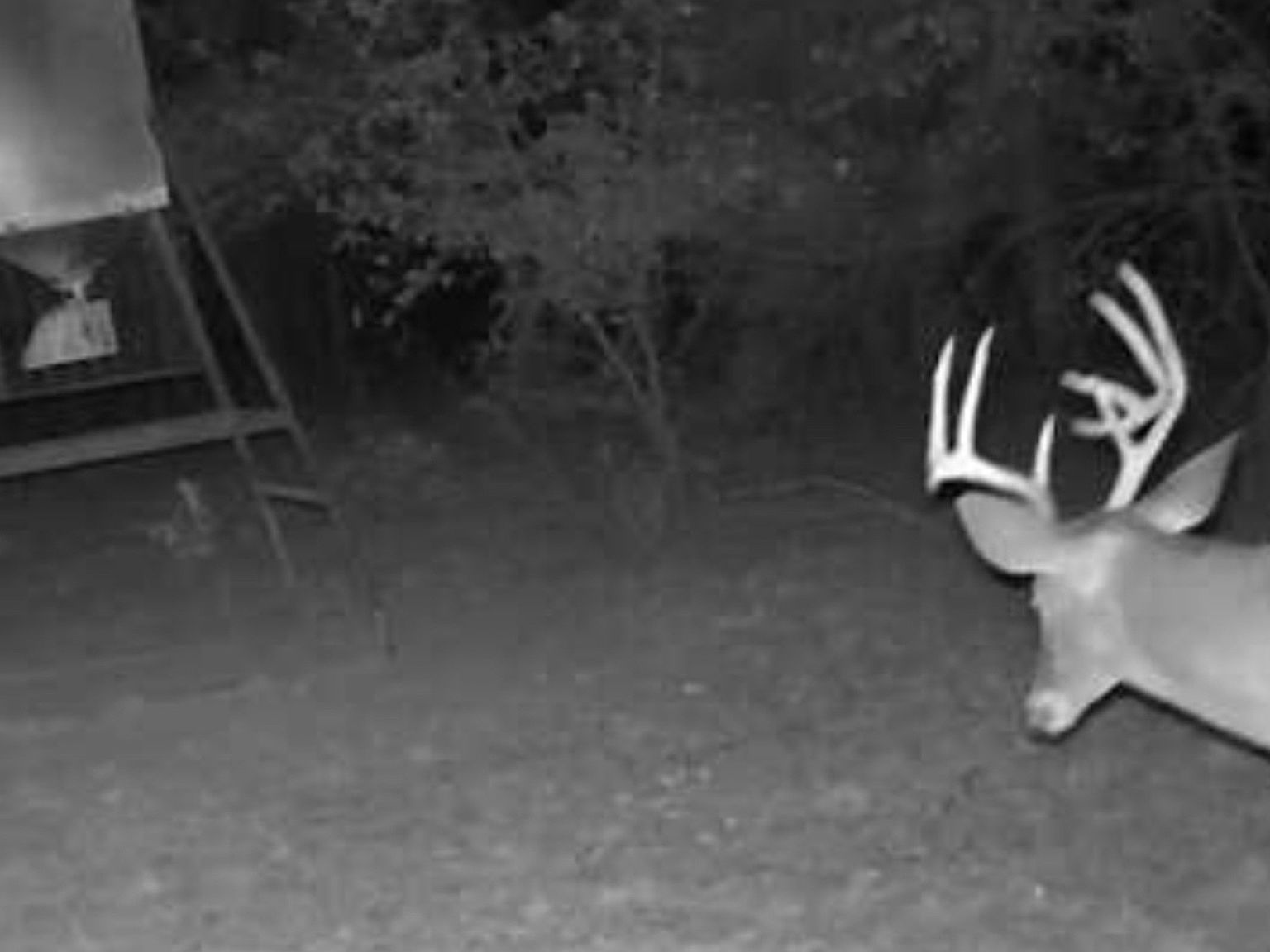 3476 Vz County Road 3908 Wills Pt, TX 75169 - Thumbnail 5