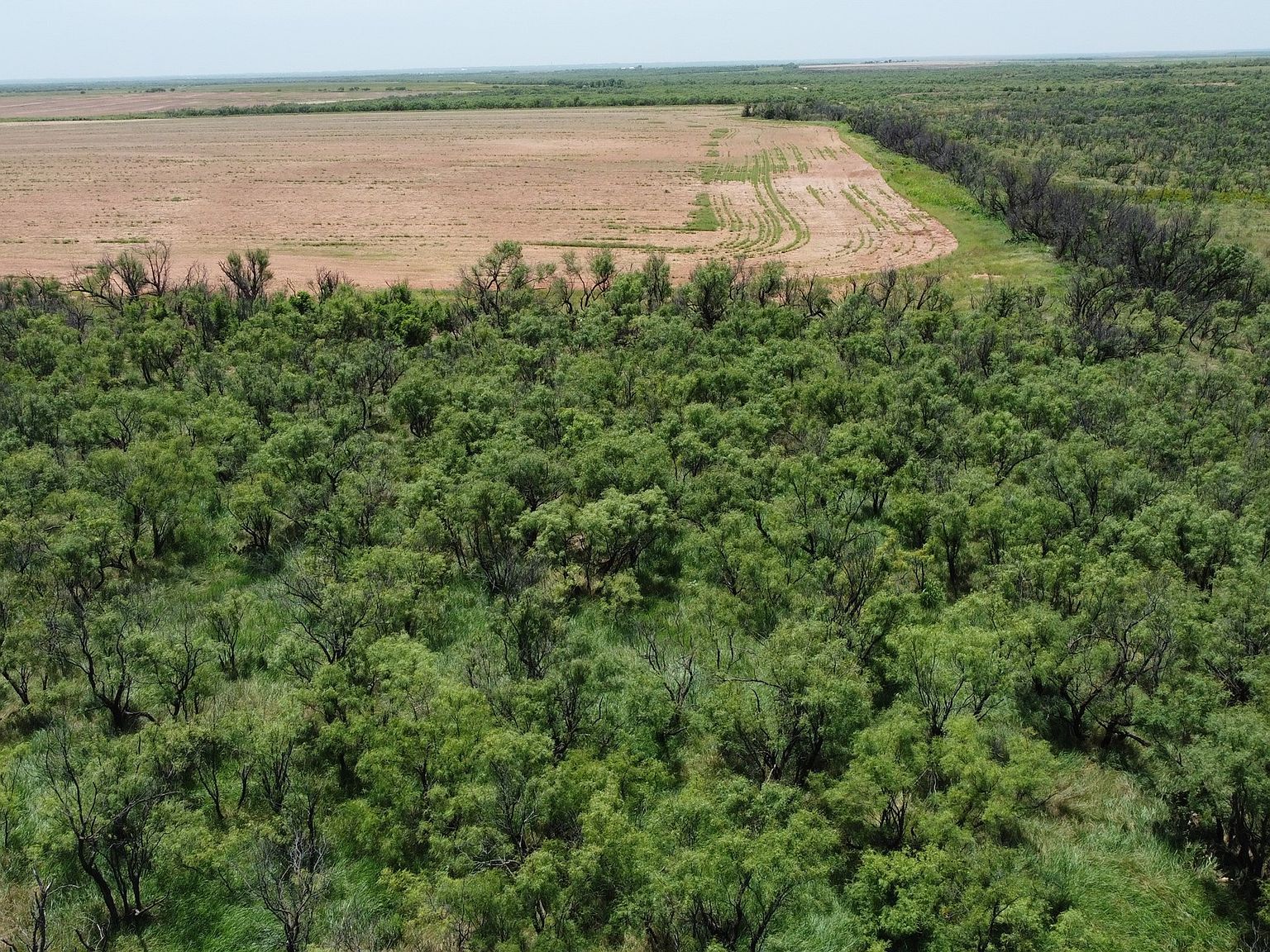 462/AC Fm 1225 Haskell, TX 79521 - Thumbnail 5