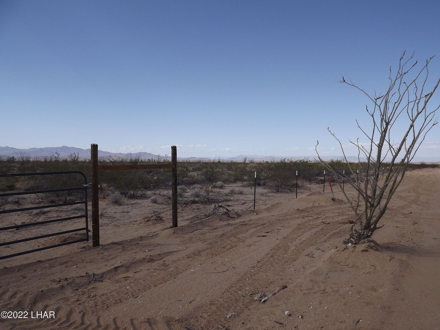 20724052A Desert Skies #2 Yucca, AZ 86438 - Thumbnail 5