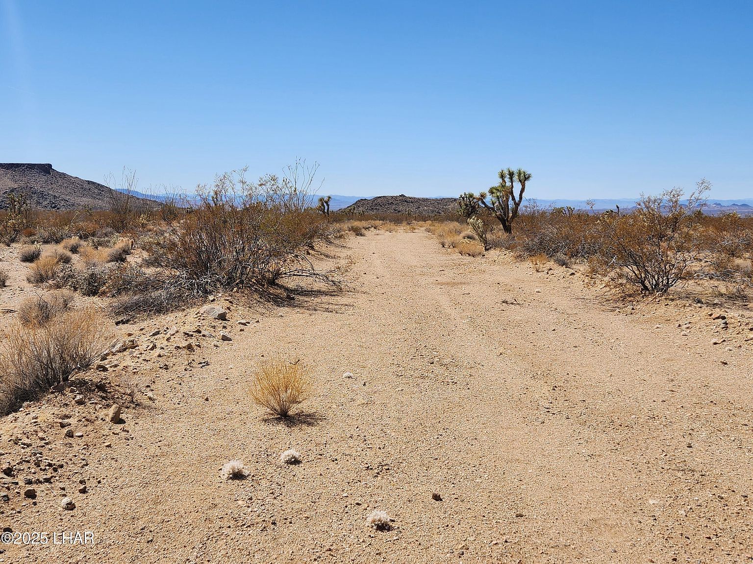 LOT 357 E Adobe Dr Yucca, AZ 86438 - Thumbnail 5