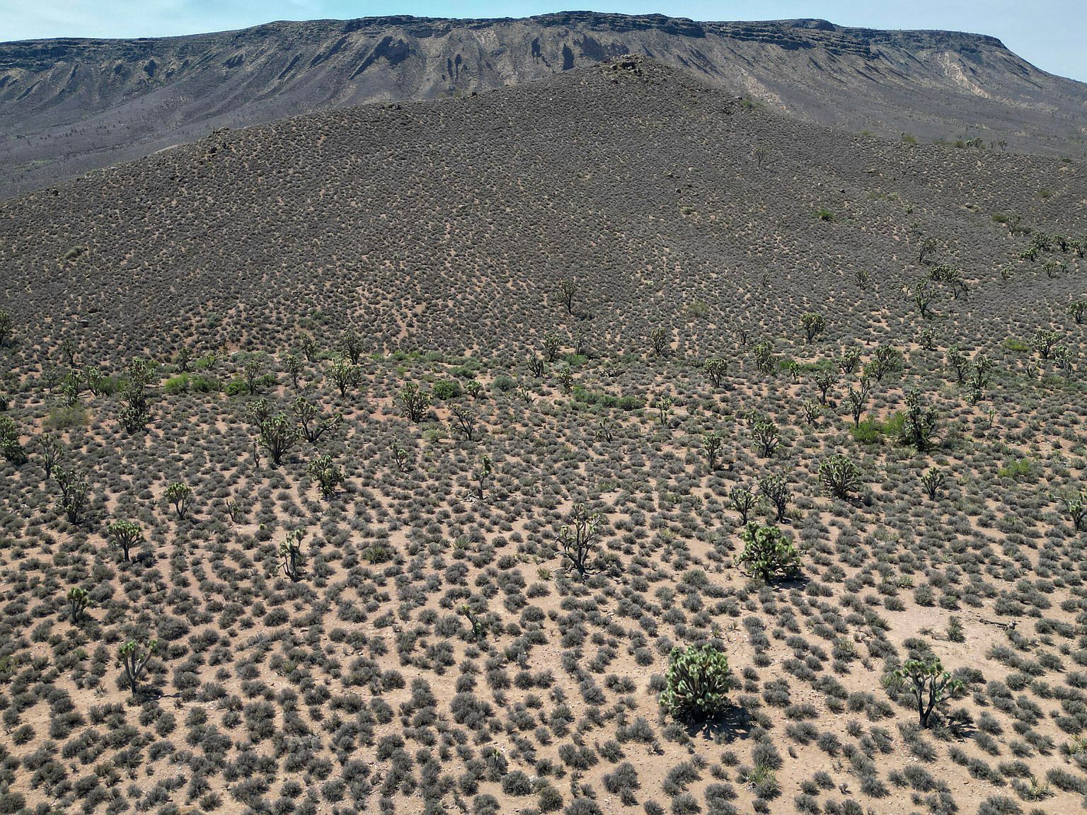 0 W Butcher Camp Rd Willow Beach, AZ 86445 - Thumbnail 5