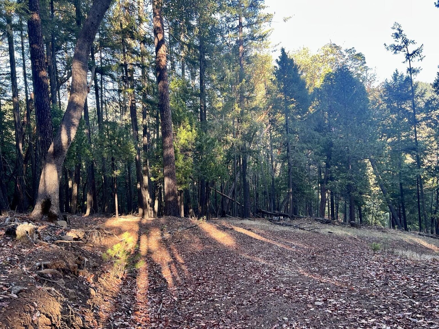 501 Elder Mill Rd Trail, OR 97541 - Thumbnail 5