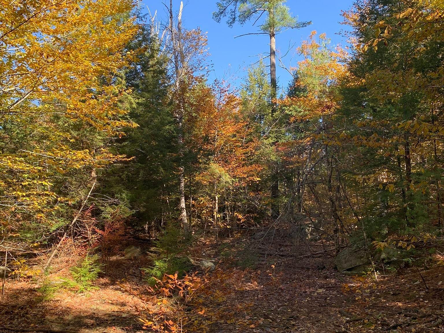 2 Journeys End Rd Francestown, NH 03043 - Thumbnail 5