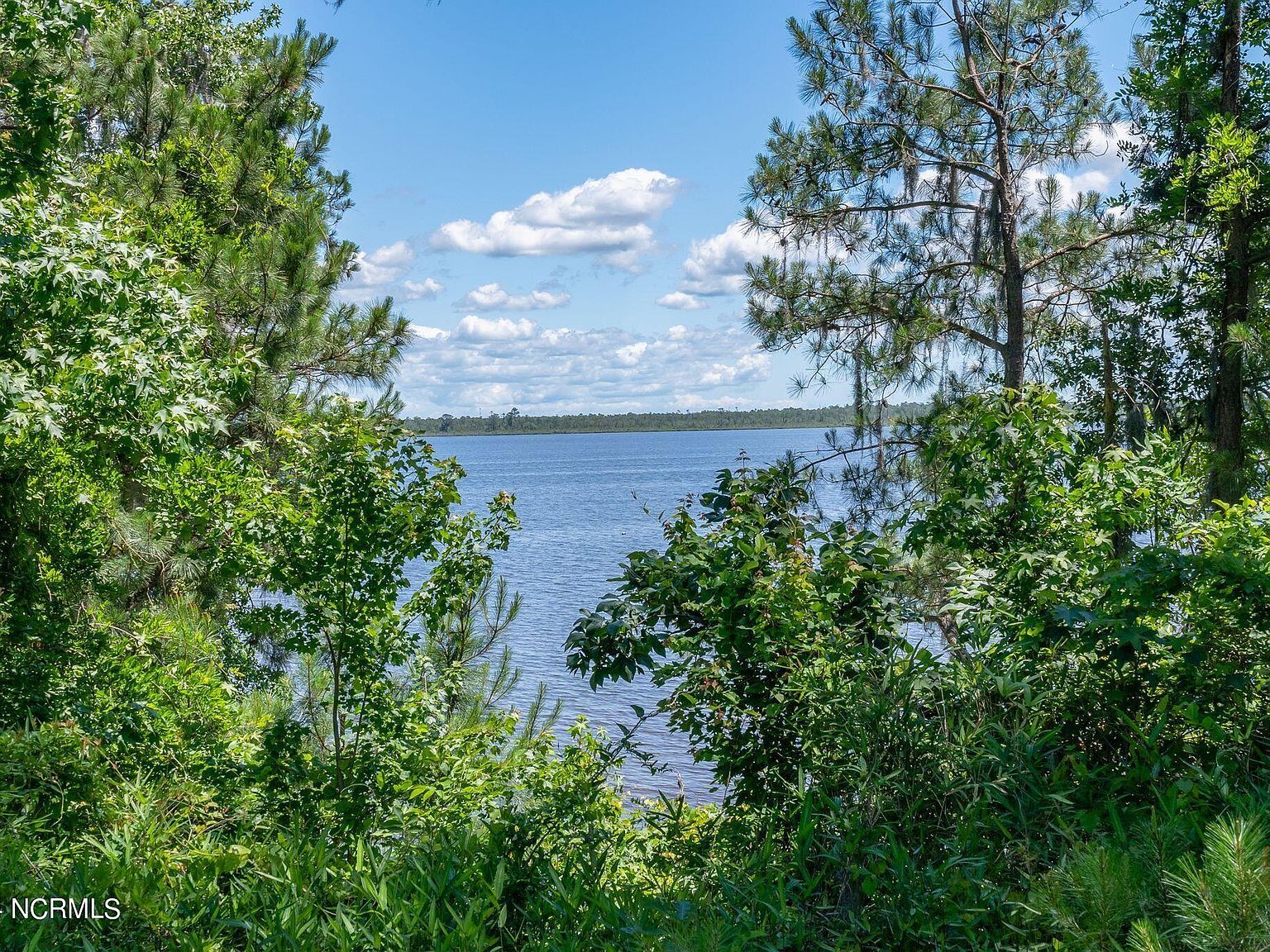 1306 Green Springs Rd New Bern, NC 28560 - Thumbnail 5