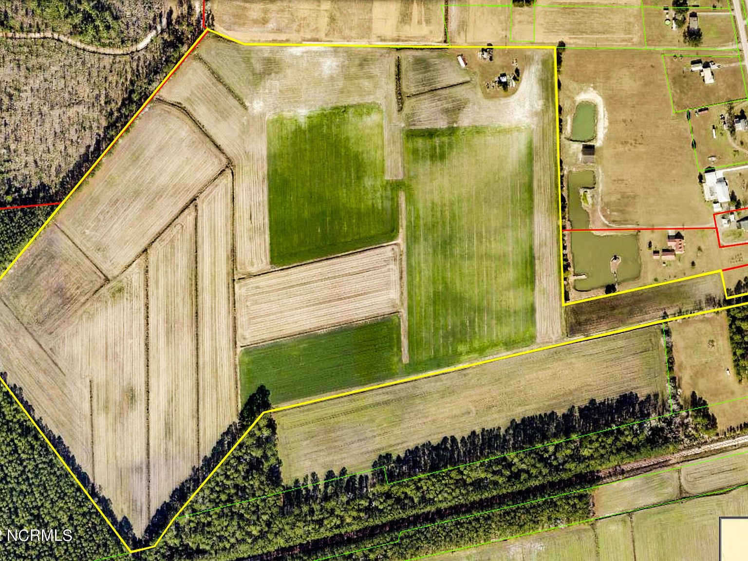 N/a Parkertown Rd Hubert, NC 28539 - Thumbnail 5