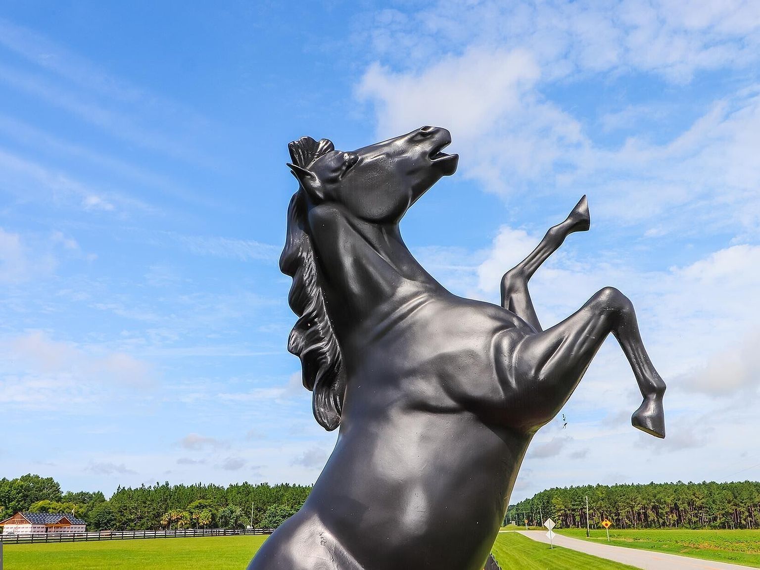 1603 Boutwell Rd Perry, GA 31069 - Thumbnail 5