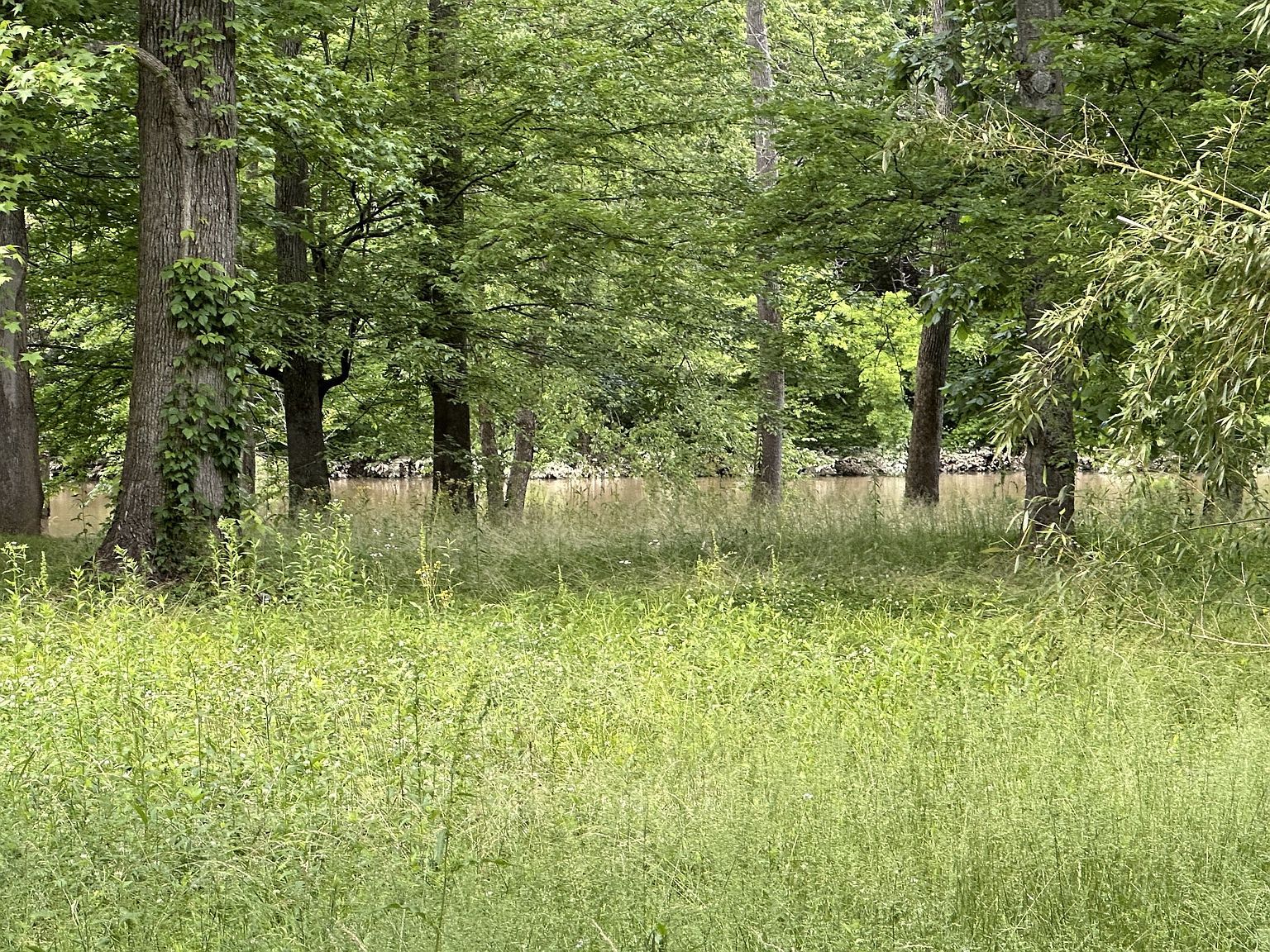 1341 Chapmansboro Rd Chapmansboro, TN 37035 - Thumbnail 5