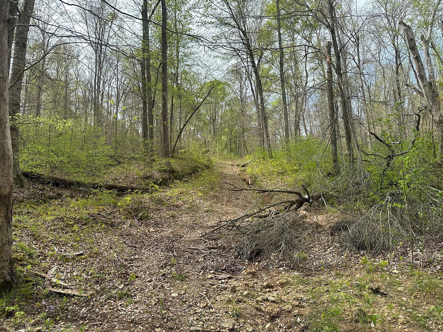 2 Cave Branch Rd Dickson, TN 37055 - Thumbnail 5