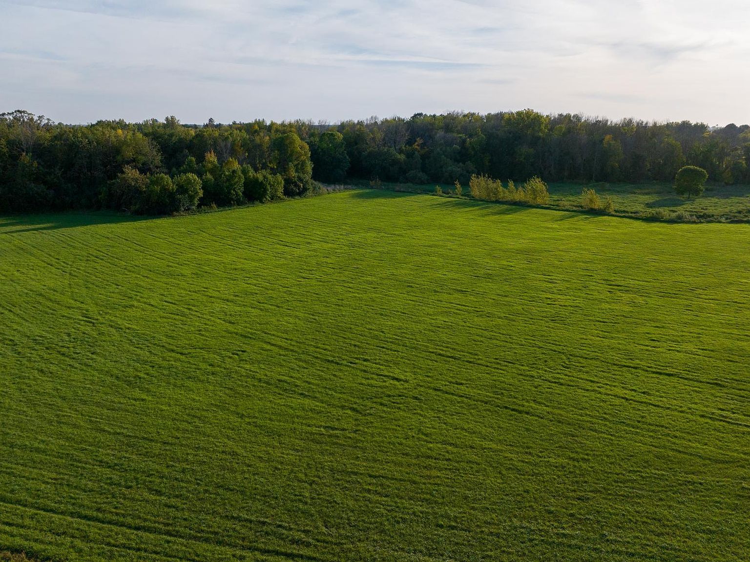 County Road 50 Carver, MN 55315 - Thumbnail 5