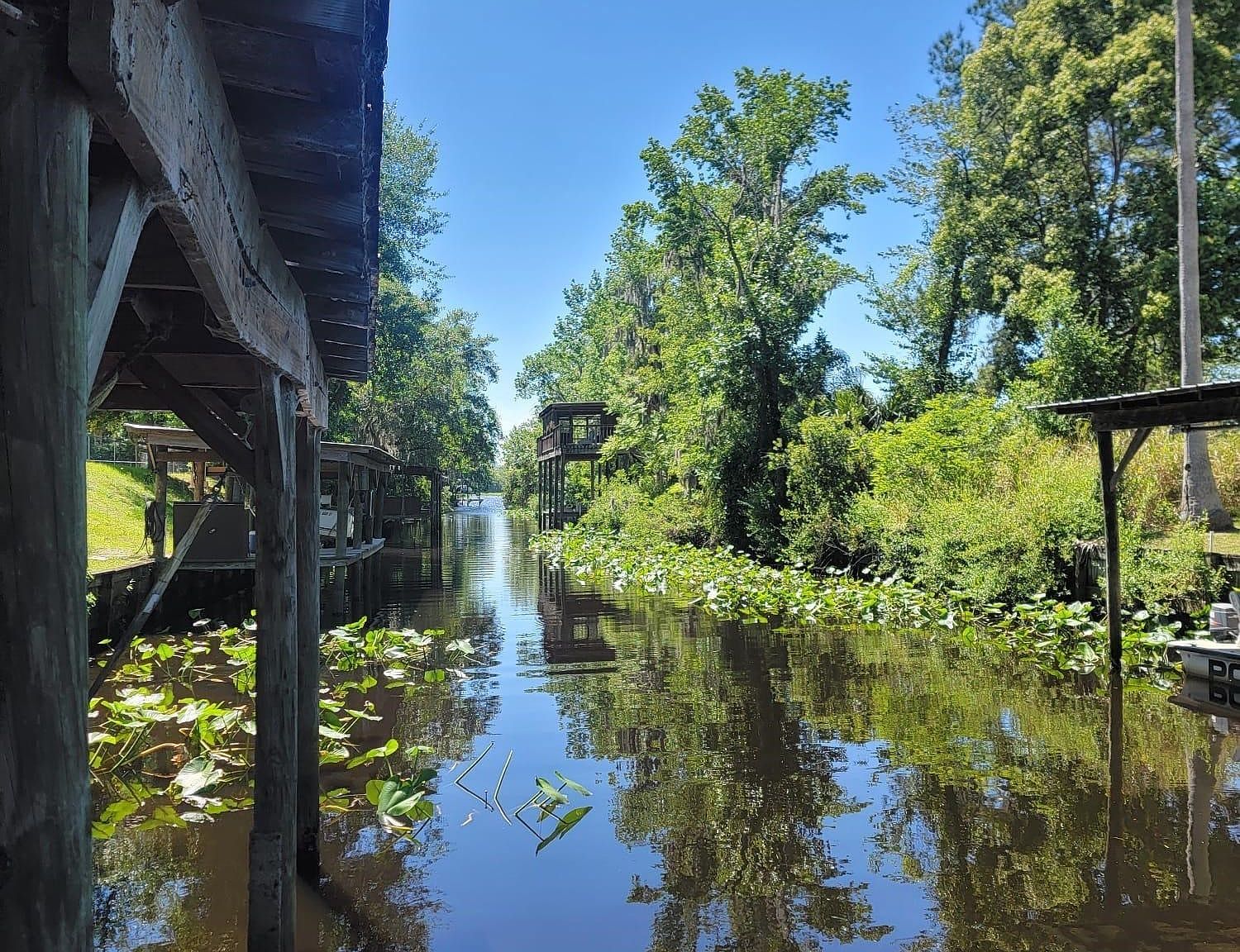 163 Buchanan Cir Satsuma, FL 32189 - Thumbnail 5