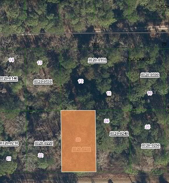 210 Redwood Blvd LOT 23, Georgetown, FL, 32139 - Thumbnail 5