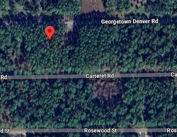 243 & 245 Georgetown Denver Rd LOT 12 Georgetown, FL 32139 | Land/Lot