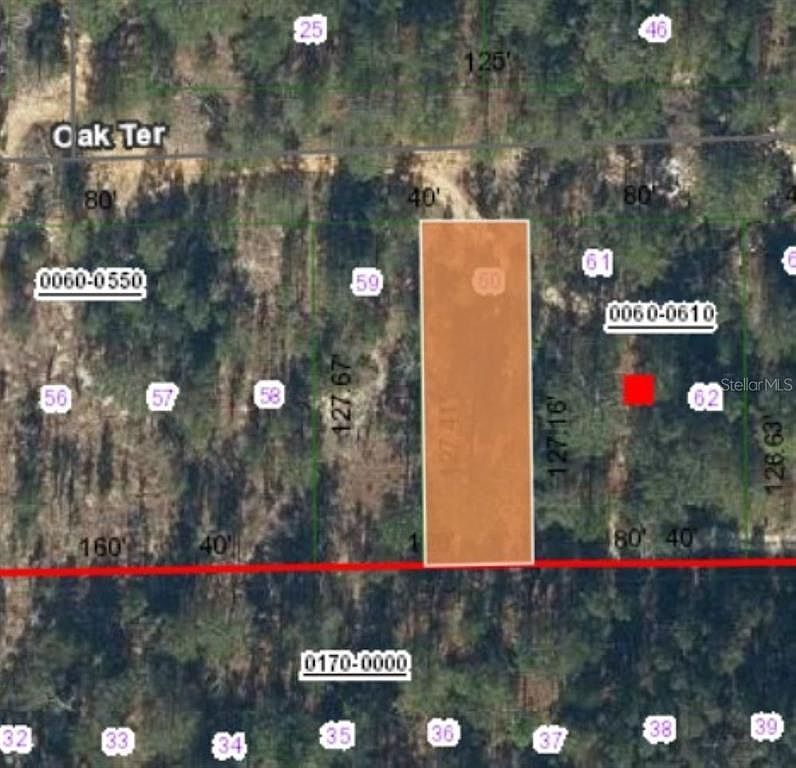 0 Unassigned Rd LOT 60 Interlachen, FL 32148 - Thumbnail 5