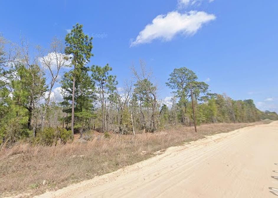 0 Martindale Ave Interlachen, FL 32148 - Thumbnail 5