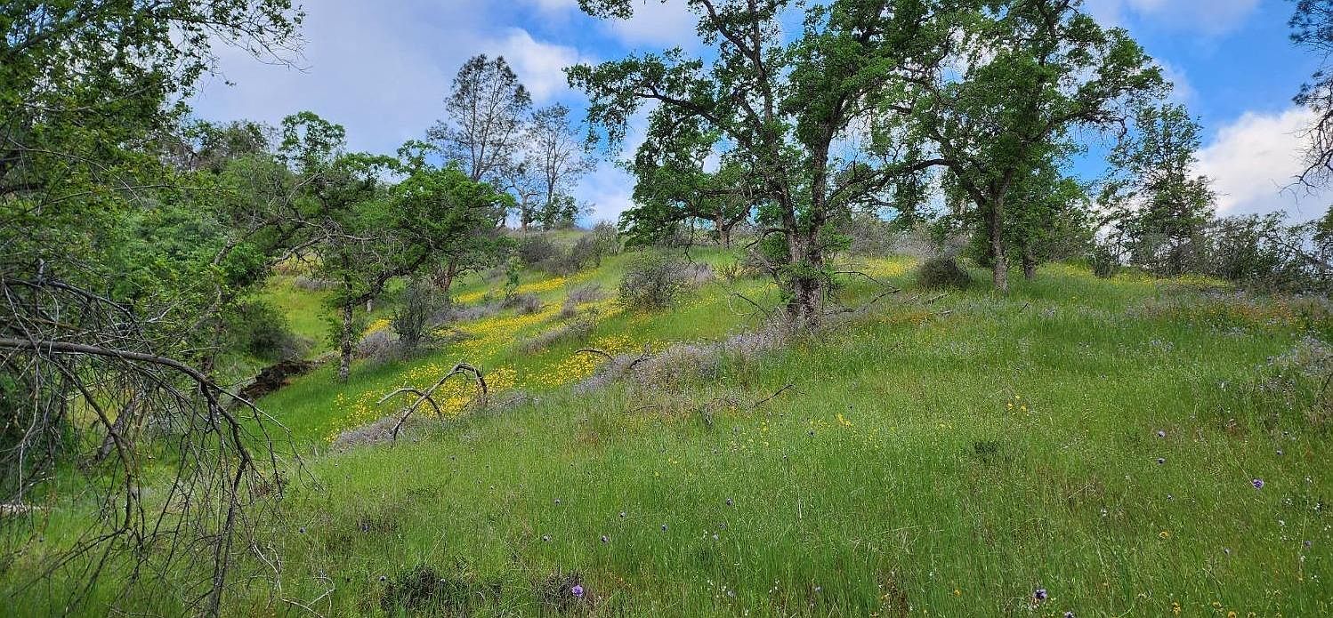 47470 Road 210 Friant, CA 93626 - Thumbnail 5