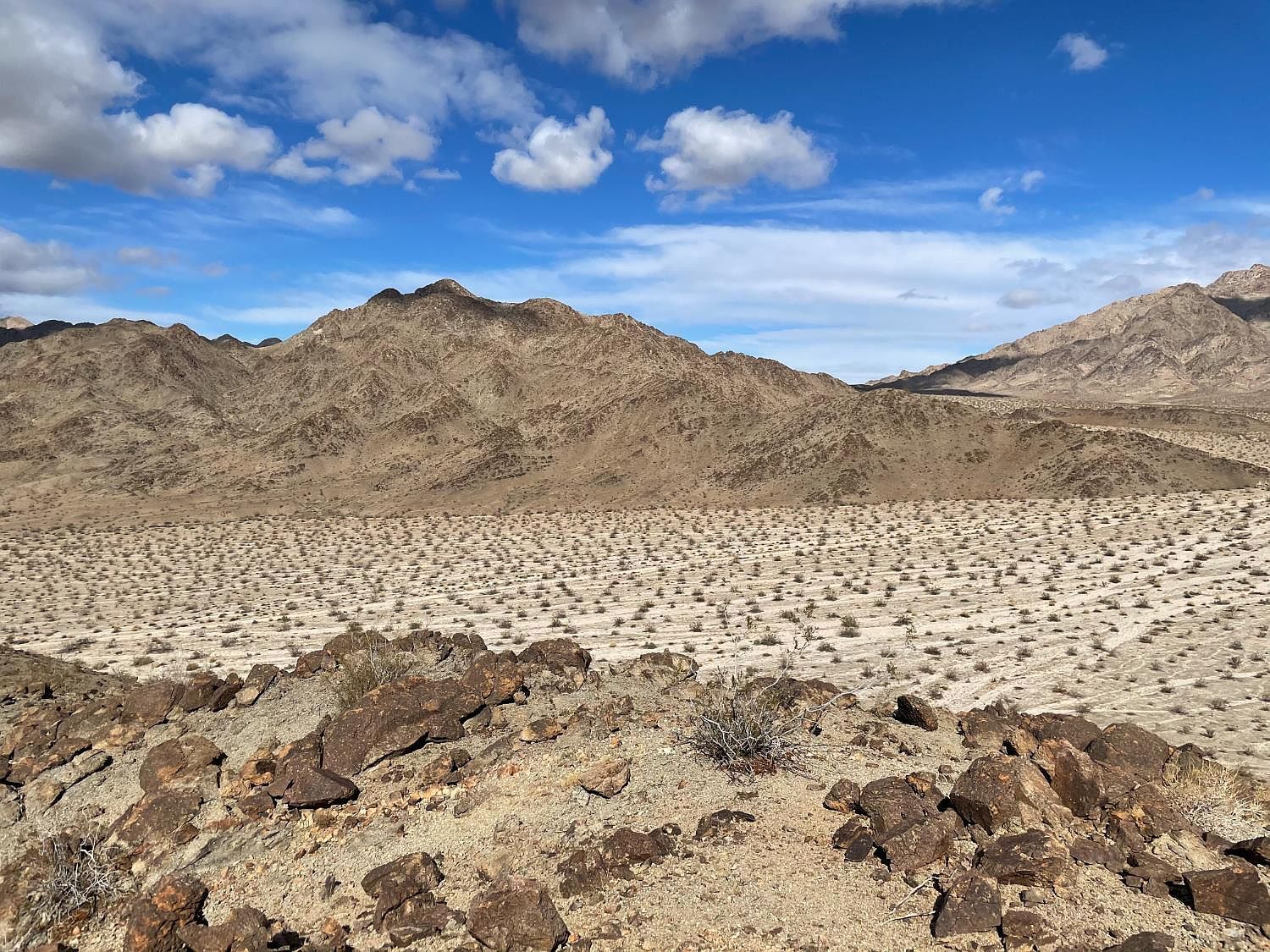 10 Bell King Ln Twentynine Palms, CA 92277 - Thumbnail 5