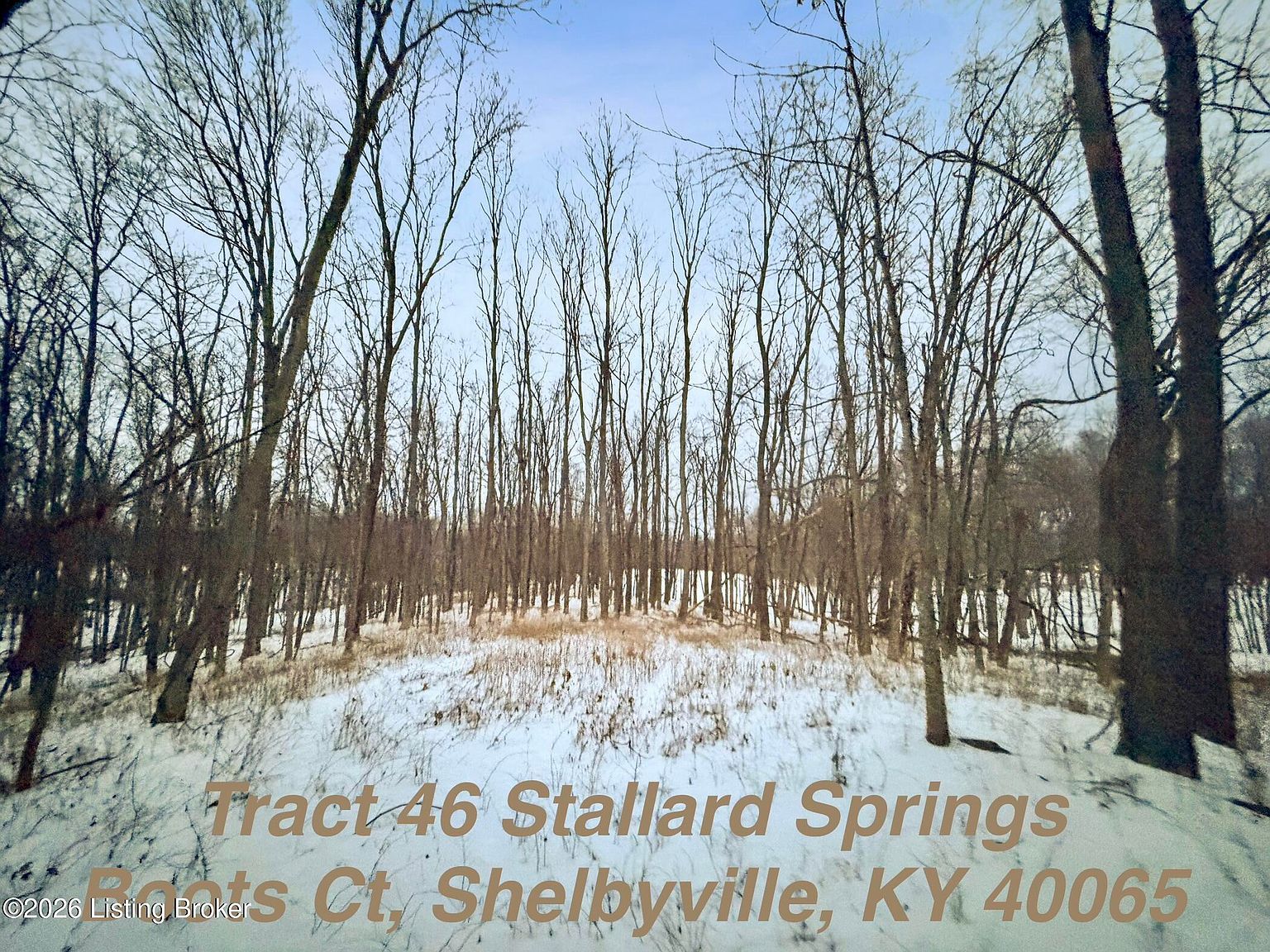 LOT 46 Boots Ct Shelbyville, KY 40065 - Thumbnail 5